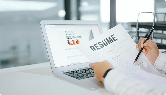 Professional Resume